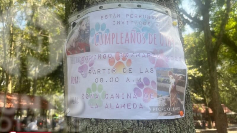 Por primera vez el parque canino que está ubicado al interior de la Alameda Gabilondo Soler Cri-Cri se realizará el primer cumpleaños perruno