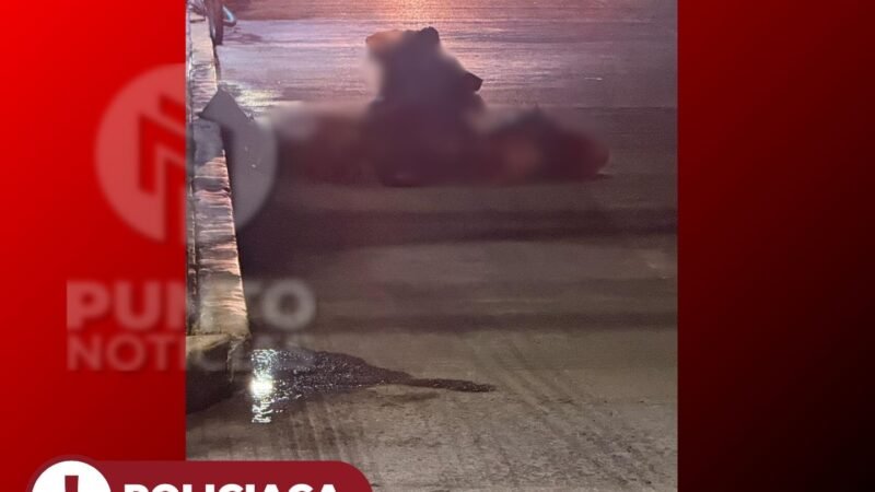 UN PINTOR Y COMERCIANTE LOS CUERPOS DESMEMBRADOS EN RÍO BLANCO.