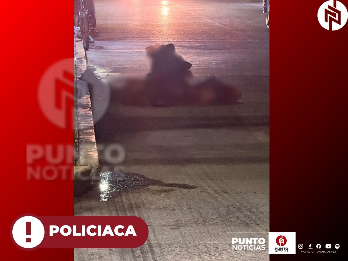 UN PINTOR Y COMERCIANTE LOS CUERPOS DESMEMBRADOS EN RÍO BLANCO.