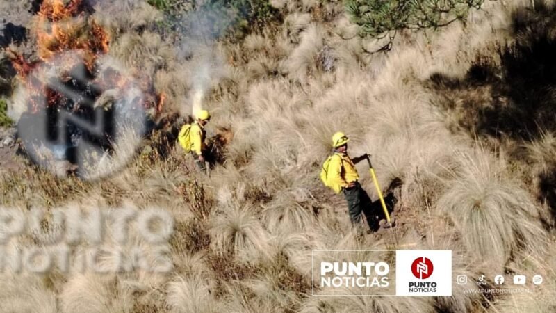 Se registra el primer incendio forestal en el Pico de Orizaba