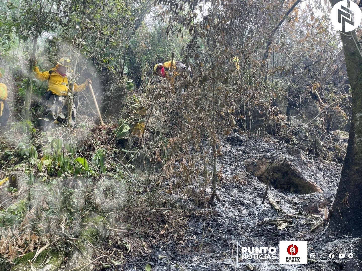 Aumentan incendios forestales en la región Orizaba-Pico de Orizaba-Zongolica