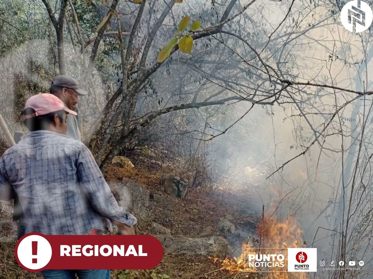 SE ESTÁ COMBATIENDO EL INCENDIO FORESTAL EN “LA CUESTA” EN CIUDAD MENDOZA.
