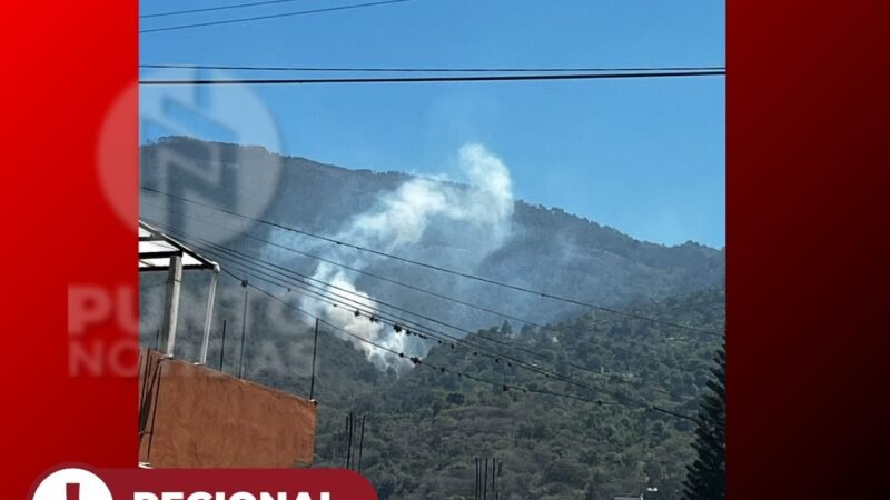 REPORTAN INCENDIO FORESTAL EN EL CERRO “LA CUESTA” EN CIUDAD MENDOZA.