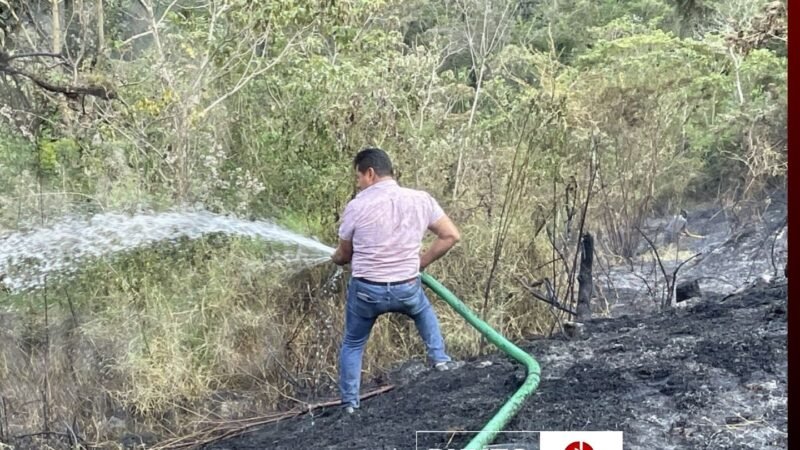 Sofocan primer incendio forestal del municipio de Tlilapan