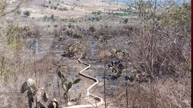 Se registran seis incendios forestales en las Altas Montañas por la surada y altas temperaturas