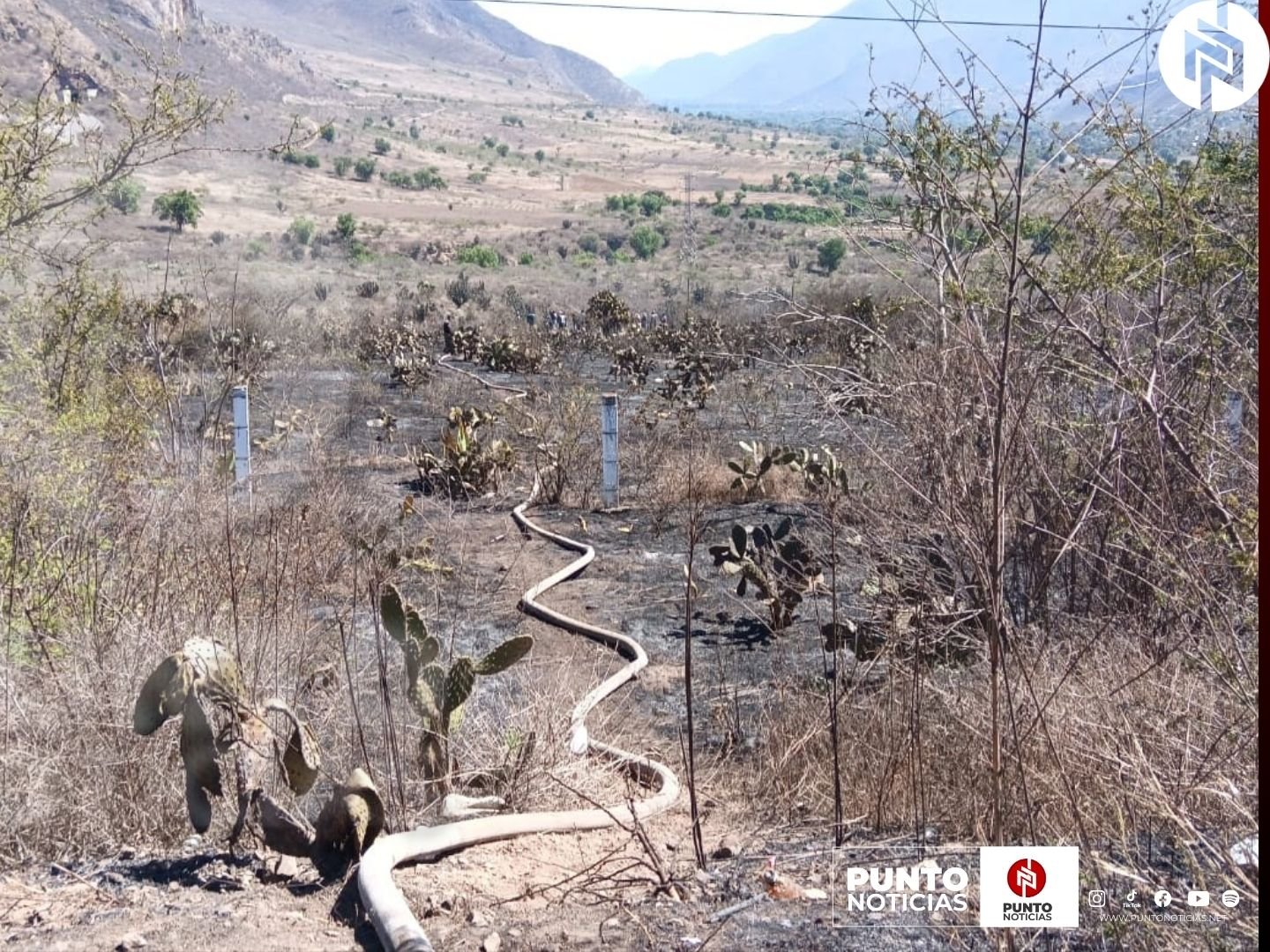 Se registran seis incendios forestales en las Altas Montañas por la surada y altas temperaturas