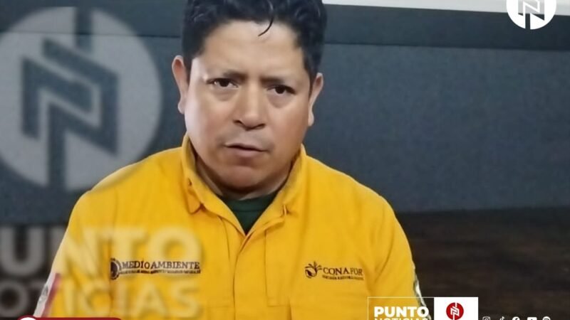 Aumento de Conatos de Incendio en la Región de las Altas Montañas