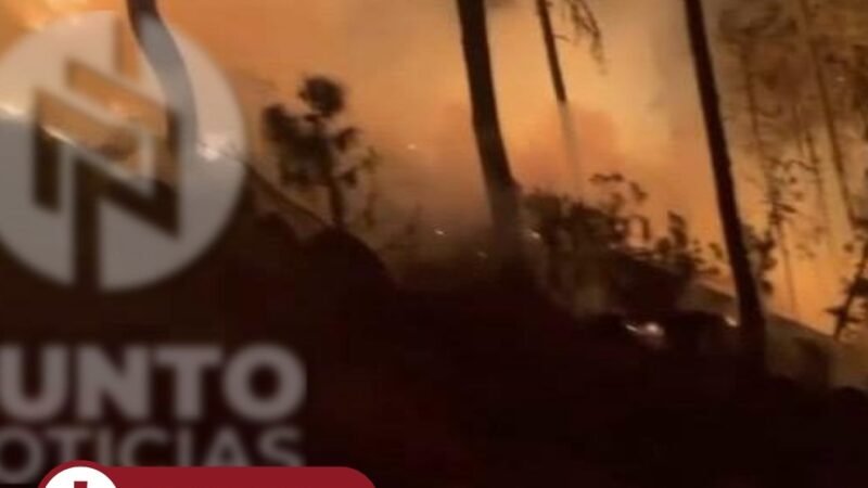 Incendio forestal en el Parque Nacional del Pico de Orizaba bajo control
