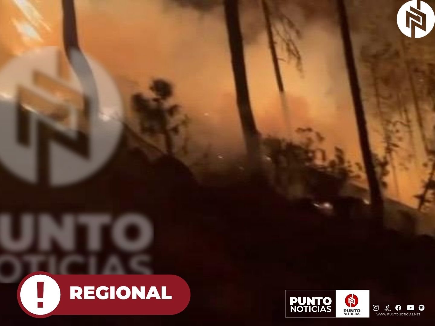 Incendio forestal en el Parque Nacional del Pico de Orizaba bajo control