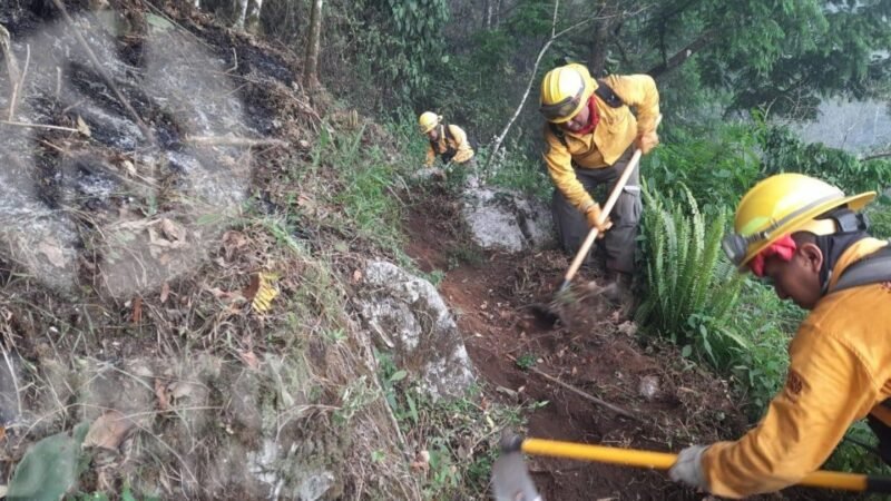 Sofocados los incendios forestales de la región Altas Montañas