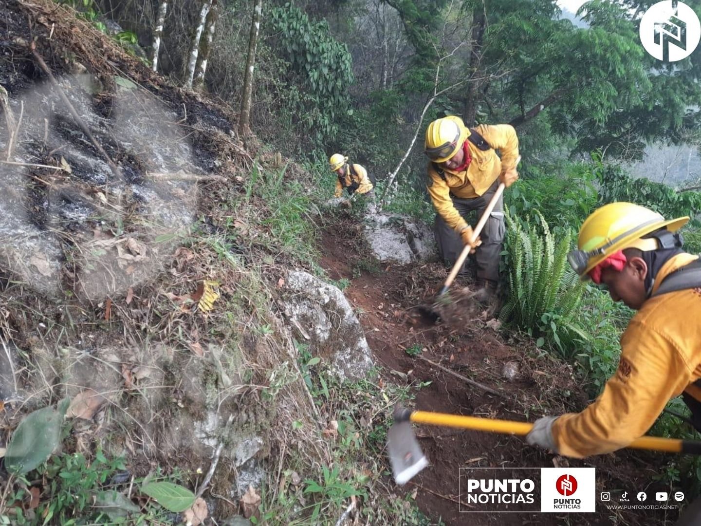 Sofocados los incendios forestales de la región Altas Montañas