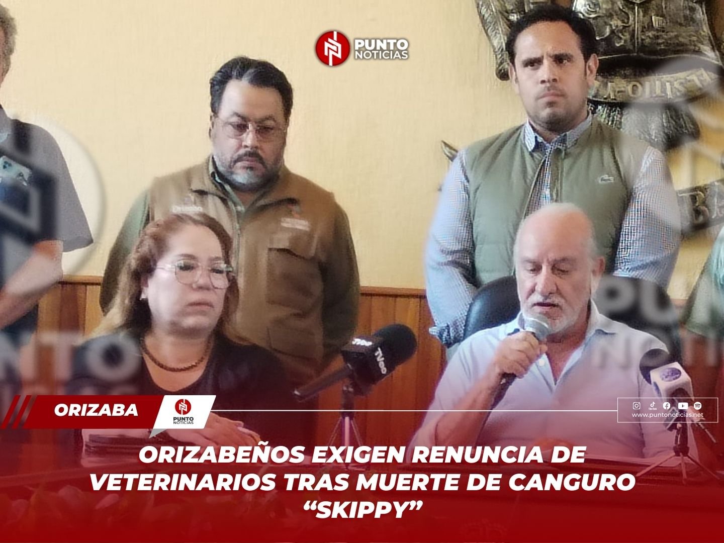 Orizabeños exigen renuncia de veterinarios tras muerte de canguro “Skippy”