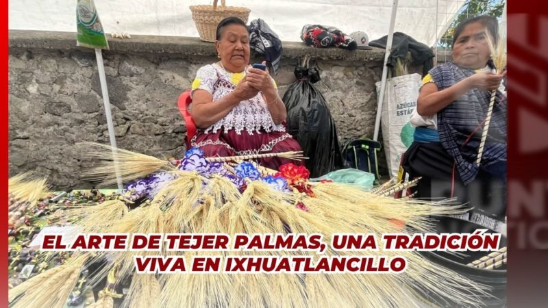El arte de tejer palmas, una tradición viva en Ixhuatlancillo