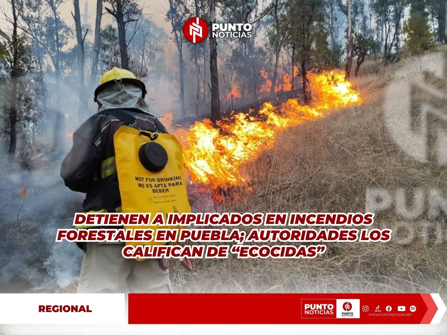 Detienen a implicados en incendios forestales en Puebla; autoridades los califican de “ecocidas”
