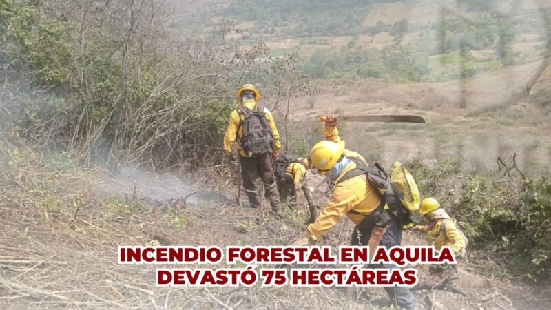 Incendio forestal en Aquila devastó 75 hectáreas