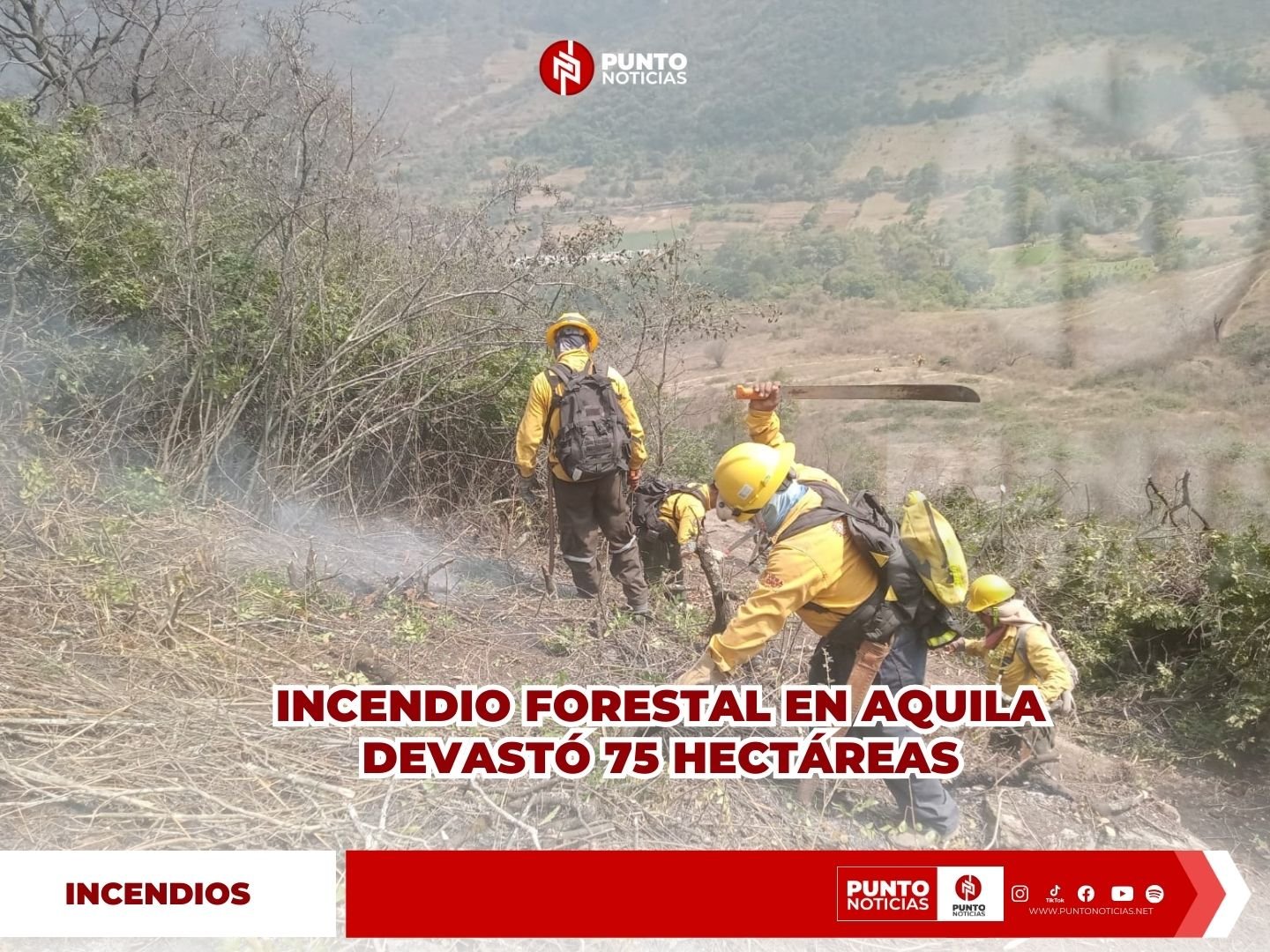 Incendio forestal en Aquila devastó 75 hectáreas