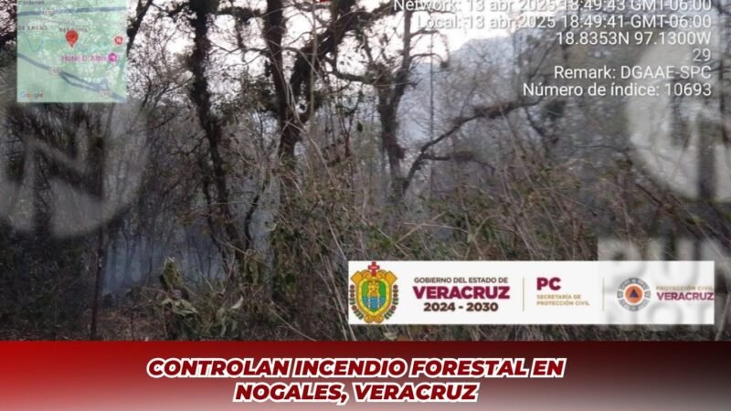 Controlan incendio forestal en Nogales, Veracruz
