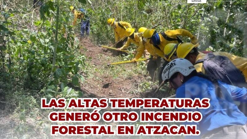 LAS ALTAS TEMPERATURAS GENERÓ OTRO INCENDIO FORESTAL EN ATZACAN.