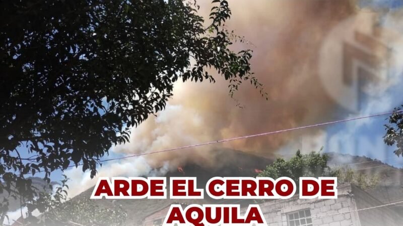 El aire y las altas temperaturas dificultan el control del incendio forestal en Aquila