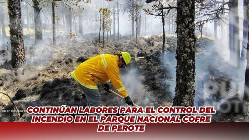 Continúan labores para el control del incendio en el Parque Nacional Cofre de Perote