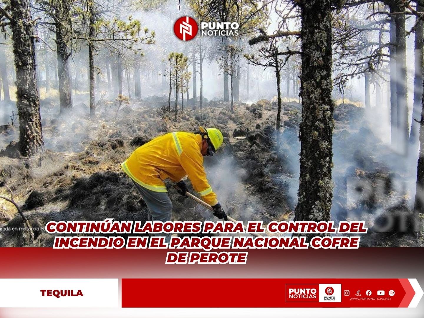 Continúan labores para el control del incendio en el Parque Nacional Cofre de Perote