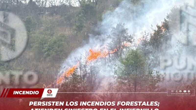 Persisten los incendios forestales; atienden siniestro en El Infiernillo