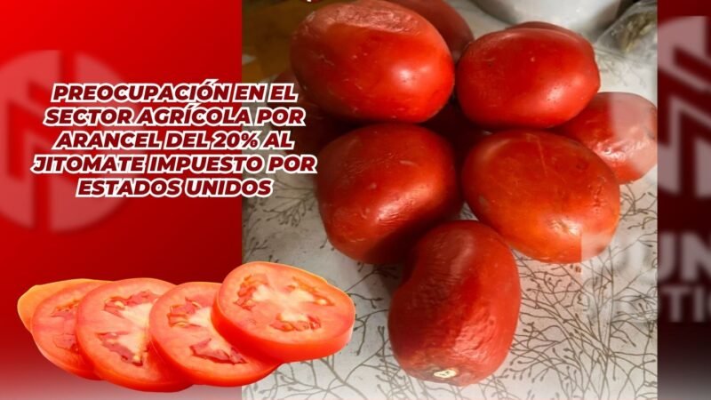 Preocupación en el sector agrícola por arancel del 20% al jitomate impuesto por Estados Unidos