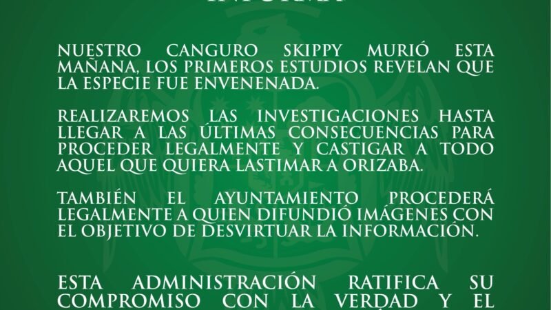 Investigarán envenenamiento de canguro en la UMA de Orizaba