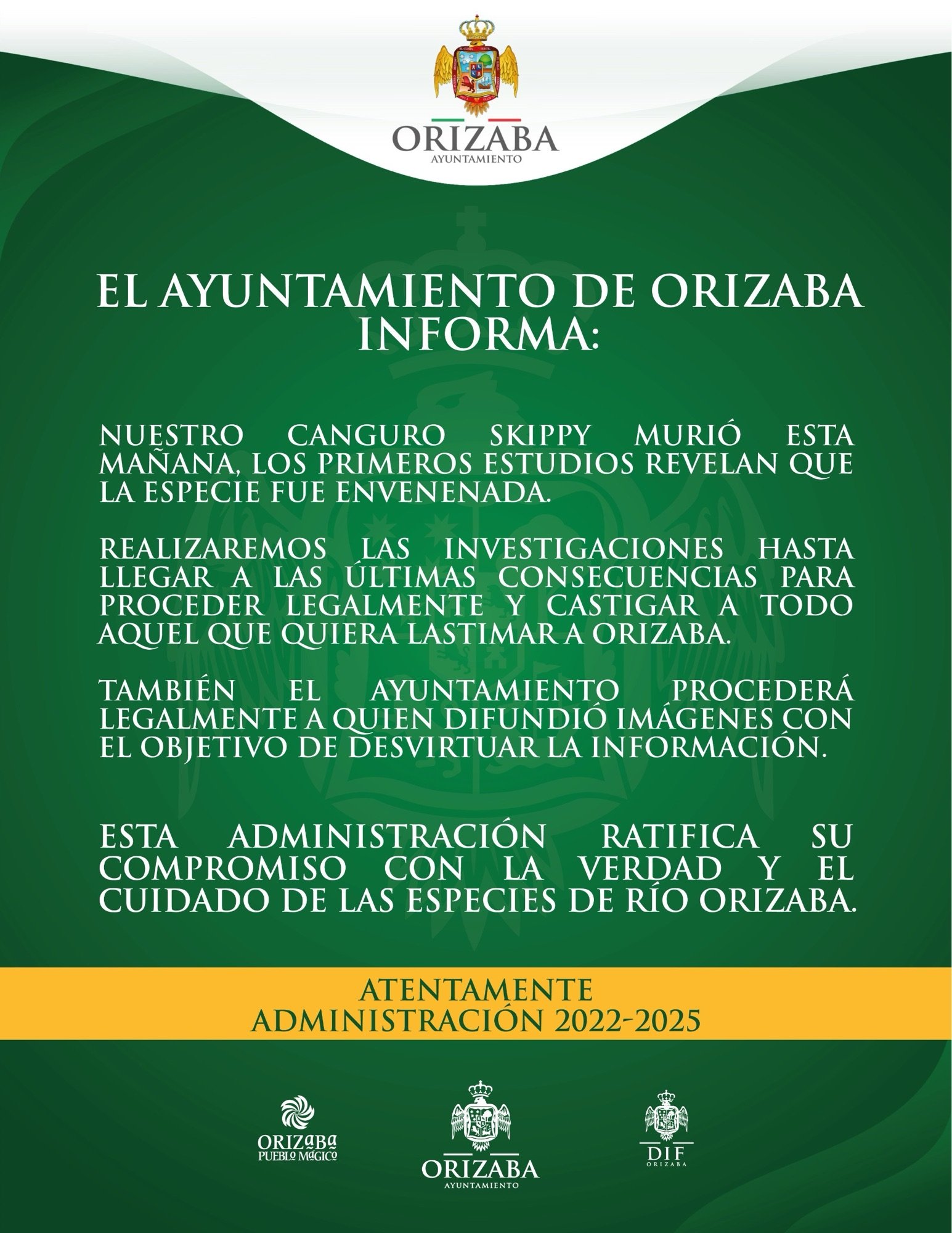 Investigarán envenenamiento de canguro en la UMA de Orizaba