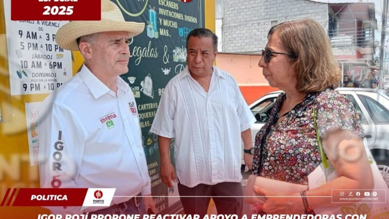 Igor Rojí propone reactivar apoyo a emprendedoras con proyectos desde casa