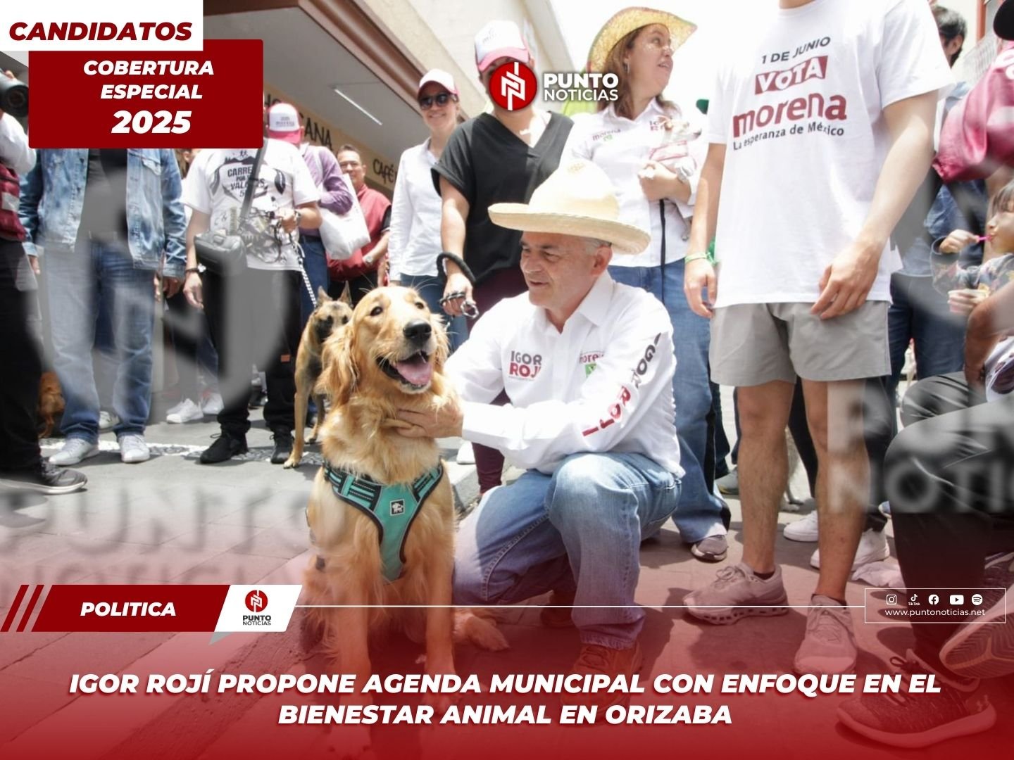 Igor Rojí propone agenda municipal con enfoque en el bienestar animal en Orizaba