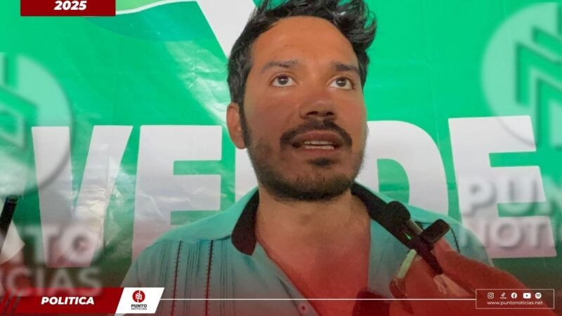 Delegado nacional del PVEM lamenta declaraciones de dirigente de Morena en las Altas Montañas