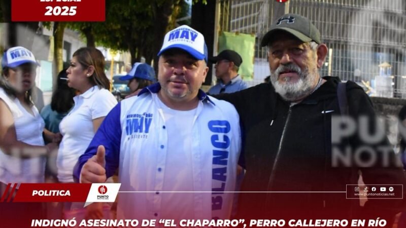 Indignó asesinato de “El Chaparro”, perro callejero en Río Blanco; candidato propone albergue y adopciones responsables