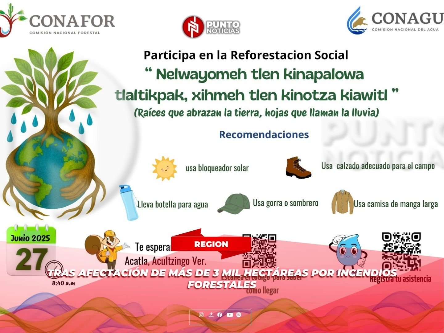 Tras afectación de más de 3 mil hectáreas por incendios forestales