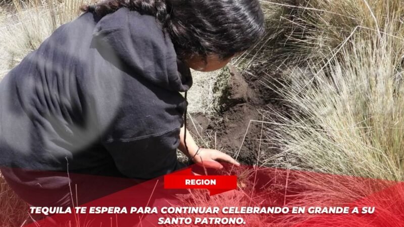 Impulsan la Restauración del Pico de Orizaba con la Siembra de 1,700 Pinos
