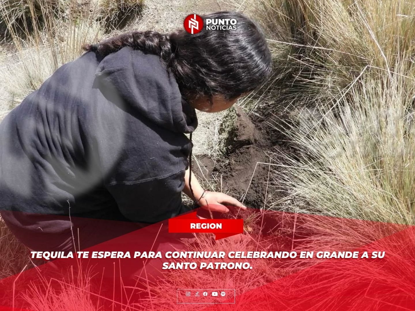 Impulsan la Restauración del Pico de Orizaba con la Siembra de 1,700 Pinos