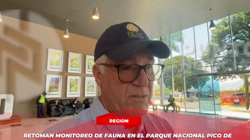 Retoman monitoreo de fauna en el Parque Nacional Pico de Orizaba con nuevas cámaras trampa