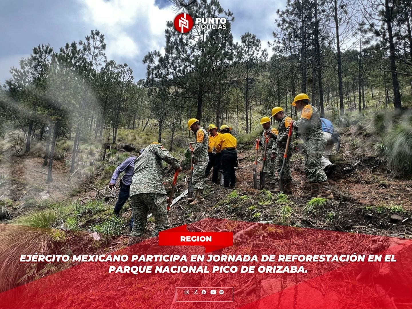 Ejército Mexicano participa en jornada de reforestación en el Parque Nacional Pico de Orizaba.