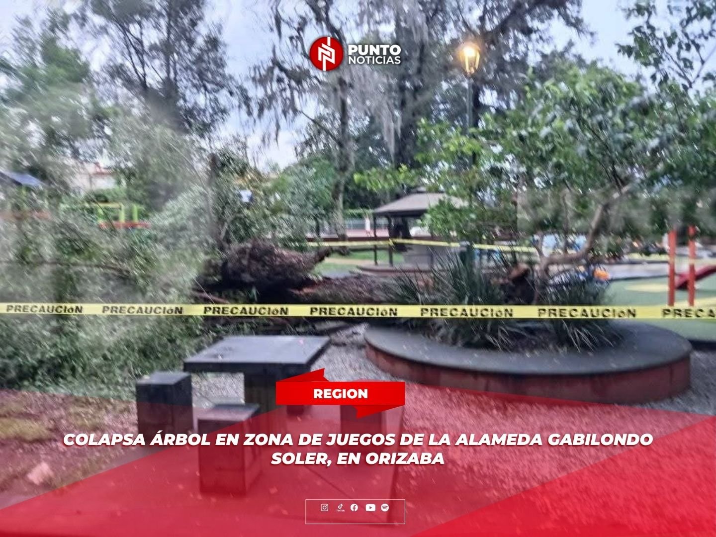 Colapsa árbol en zona de juegos de la Alameda Gabilondo Soler, en Orizaba