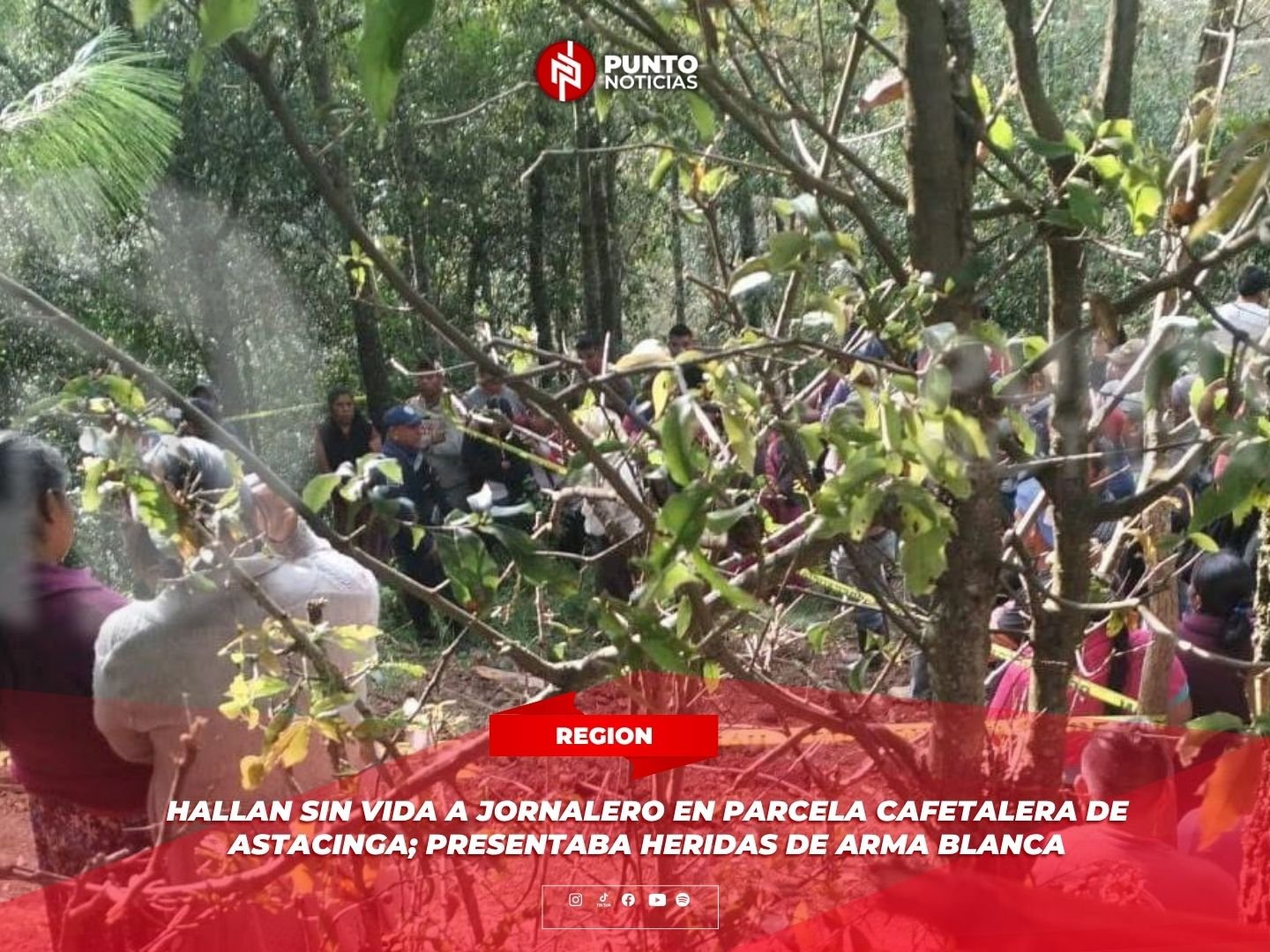 Hallan sin vida a jornalero en parcela cafetalera de Astacinga; presentaba heridas de arma blanca