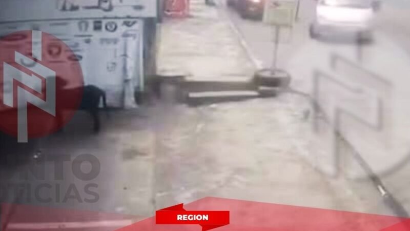 Motociclista resulta lesionado tras choque con auto en el bulevar Córdoba-Peñuela