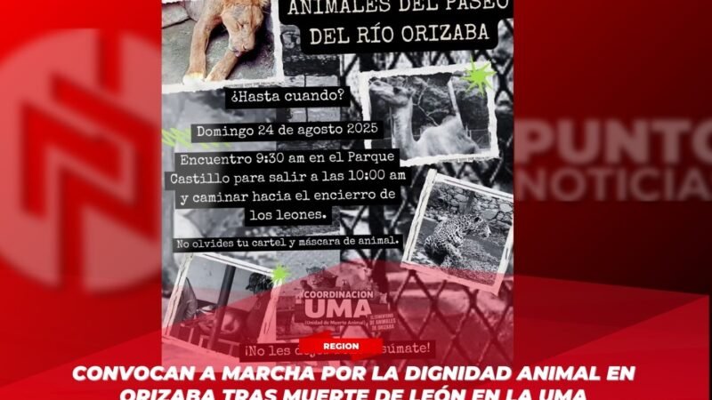 Convocan a marcha por la dignidad animal en Orizaba tras muerte de león en la UMA