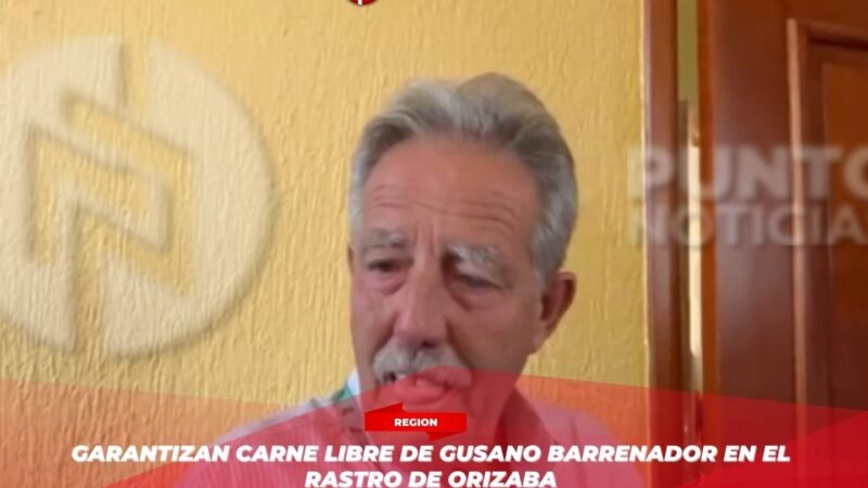 Garantizan carne libre de gusano barrenador en el rastro de Orizaba