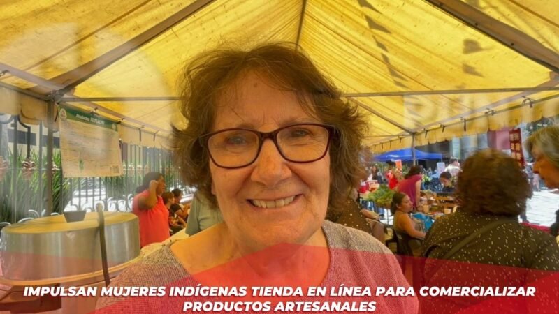Impulsan mujeres indígenas tienda en línea para comercializar productos artesanales