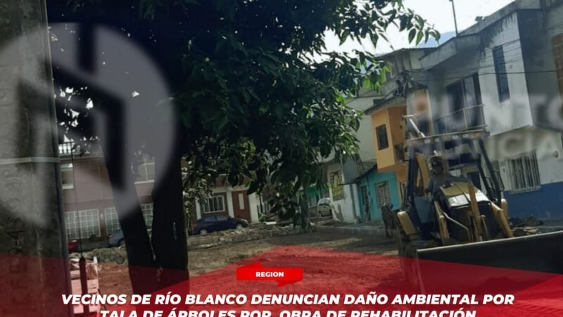Vecinos de Río Blanco denuncian daño ambiental por tala de árboles por obra de rehabilitación