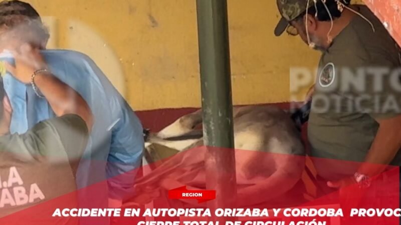 Crece preocupación por muertes de animales y descuido en la UMA de Orizaba