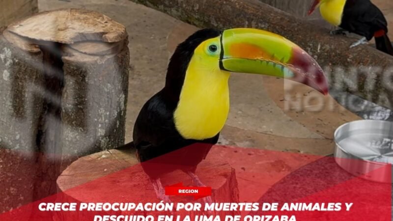 Crece preocupación por muertes de animales y descuido en la UMA de Orizaba