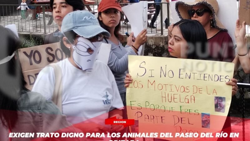 Exigen trato digno para los animales del Paseo del Río en Orizaba