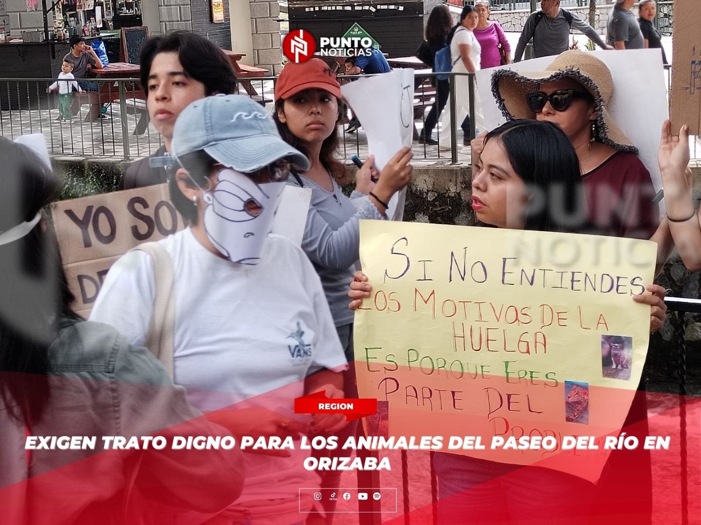 Exigen trato digno para los animales del Paseo del Río en Orizaba