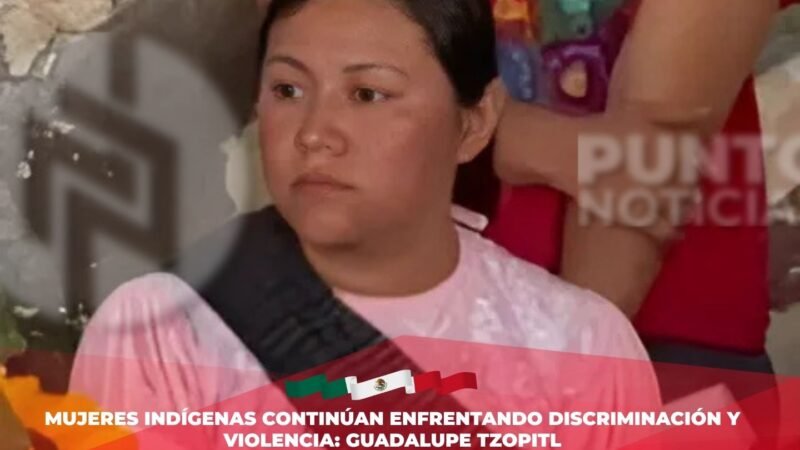Mujeres indígenas continúan enfrentando discriminación y violencia: Guadalupe Tzopitl